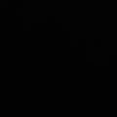 専用