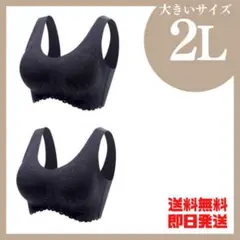2L シームレスブラ 大きいサイズ ノンワイヤー ナイトブラ ❶❶