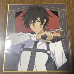 ⚠️ 家庭教師ヒットマンREBORN まるくじ ミニ色紙 XANXUS