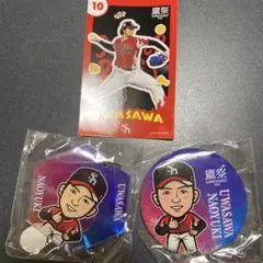 上沢 鷹祭 若鷹ガチャバッジ 2個＆鷹祭ステッカー