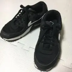 NIKE エアマックス90 25.0センチ 24.5センチの人用