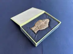 Item thumbnail for item d5180061-f550-4777-9947-3c6b36a58010