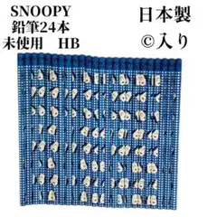 Item thumbnail for item 0b304c19-b9d1-4917-a1ce-f5cf75cbea68