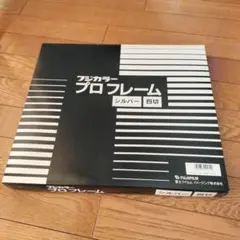 額縁　富士フイルム プロフレーム 4切 シルバー