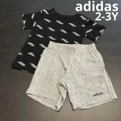 adidas アディダス セットアップ Tシャツ ショートパンツ 短パン
