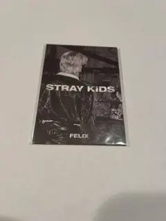 straykids フィリックス　in生　ミニフォトブック