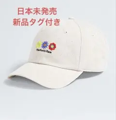 THETHENORTHFACE ノースフェイス キャップ 1月限定