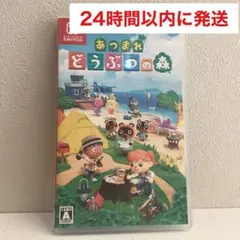 あつまれ どうぶつの森 Nintendo Switch