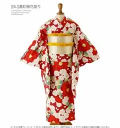 キャサリンコテージ 着物 150 赤系