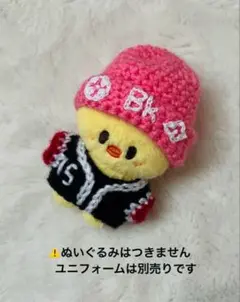 straykids スキズ　skzoo ポガリ　10am ぬい服
