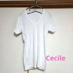 Item thumbnail for item 2c6a106a-d33c-47a3-aaa4-b9785f65e7cb