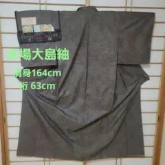 477番 伝統工芸 泥染 本場大島紬 証紙付き 9マルキ 肩身164cm 裄63