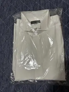 フォーシスアンドカンパニー　ウイングカラーシャツ