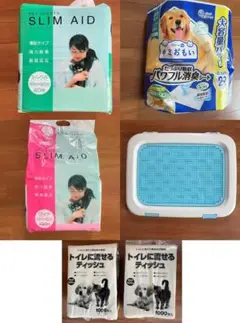 Item thumbnail for item f02a26f8-1700-4574-ade4-92566a2591a4