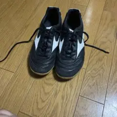 ミズノプロフェッショナルモデル モレリア