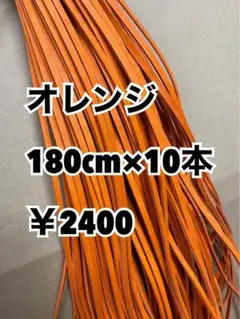 グラブレース　オレンジ　180cm×１０本