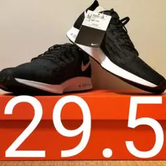 【29.5】NIKE ペガサス36