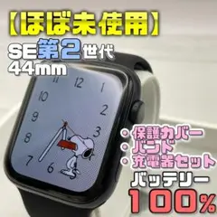 【ほぼ未使用】BT100％ SE2 44mm カバー＋バンド＋充電器