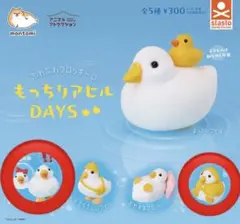 もんとみ もっちりアヒルDAYS
