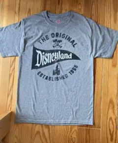 Disney Tシャツ グレー Mサイズ　カリフォルニア ディズニー ヘインズ