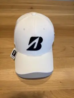 Item thumbnail for item 2ffdb96b-b4df-43f5-84a2-1618c12b306c