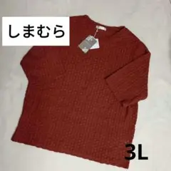 【タグ付き未使用】しまむらterawear emu カットソー 3L 五分袖