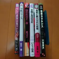 bl小説　まとめ売り　6冊