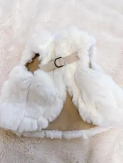 犬服 PP*closet GOOD LUCK FUR BLOUSON サイズ34 2025年最新】pp closetの人気アイテム - メルカリ
