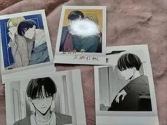 ぱしゃこれ 踏んだり、蹴ったり、愛したり