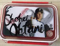 Item thumbnail for item 3c1425cf-b096-4410-b1f3-bfbaaf48cec5