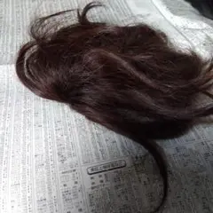 Item thumbnail for item 5c22eeec-da57-4098-abf0-2b403b9845e8