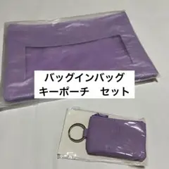 BTS JPFC 入会・継続特典　バッグインバッグ　キーポーチ
