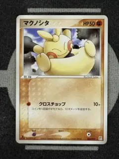 【10点2500円引き】マクノシタ