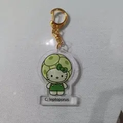 ハローキティ 大阪万博 日本館限定 キーホルダー 藻類 サンリオ 　藻　アクリル