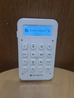 PAYGATE デジタルキーパッド