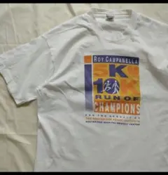 90s フルーツオブザルームTシャツ シングルステッチ