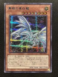2025年最新】オルタナティブ ブルシクの人気アイテム - メルカリ