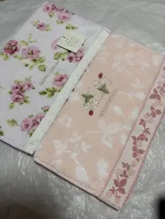 Item thumbnail for item 0079c5e3-59f6-45f2-940c-3f70dd47d05e