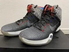 AIR JORDAN 30.5 WHY NOT XXXI 28.5cm 10.5