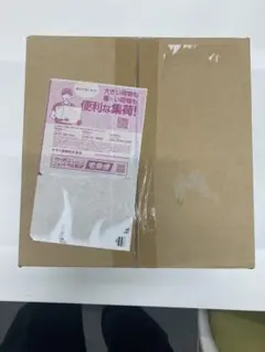 メガブレイブポケモンセンターセット未開封