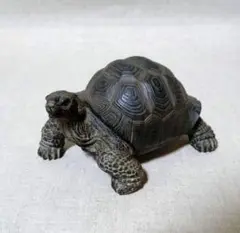 新品　貯金箱 リクガメ ゾウガメ 亀 フィギュア 置物　いきもの大図鑑　一番くじ