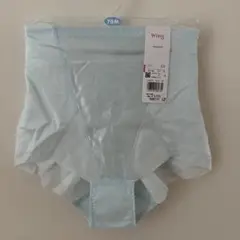 Item thumbnail for item 15faa9a1-3e86-43ed-bdce-a047cd088487