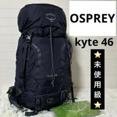 風太ママさん専用　【美品】OSPREY YETE 46 ネイビー バックパック 風太ママさん専用 【美品】OSPREY YETE 46 ネイビー バック