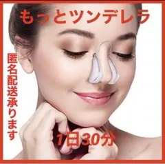 ノーズクリップ 鼻クリップ ノーズアップ