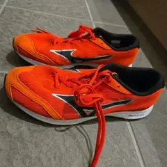 Item thumbnail for item d536ed1a-ae04-485d-9648-896b557d3ab8