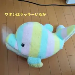 カラフルいるかちゃん