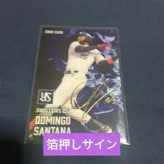 プロ野球チップス2025 第1弾　スターカード6枚