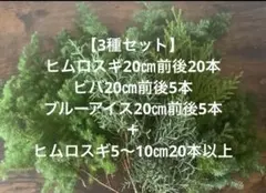 リースアレンジ材料3種セット