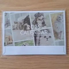 【新品・未使用】2025年 猫と犬 カレンダー 卓上 2セット