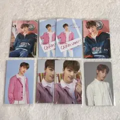 seventeen トレカ ディノ